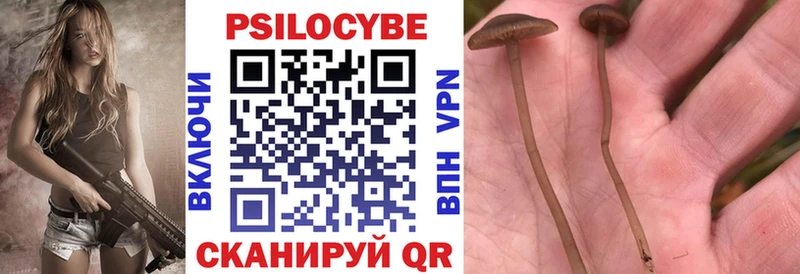 Купить закладки  Малмыж  Псилоцибиновые грибы MAGIC MUSHROOMS 